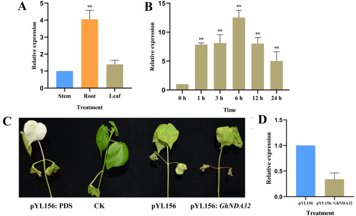 Fig. 12