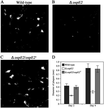 FIG. 4.