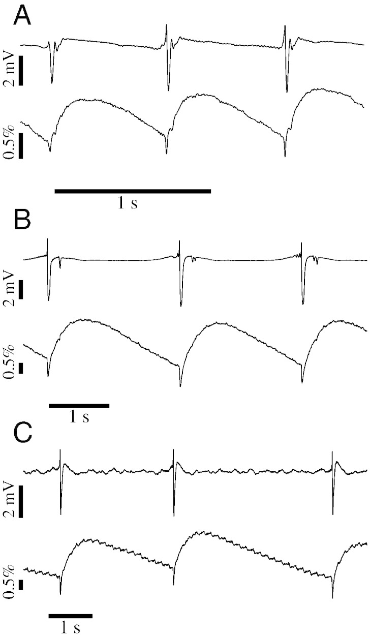 Fig. 2