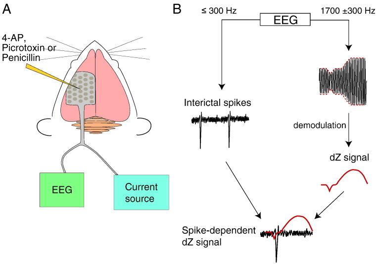 Fig. 1