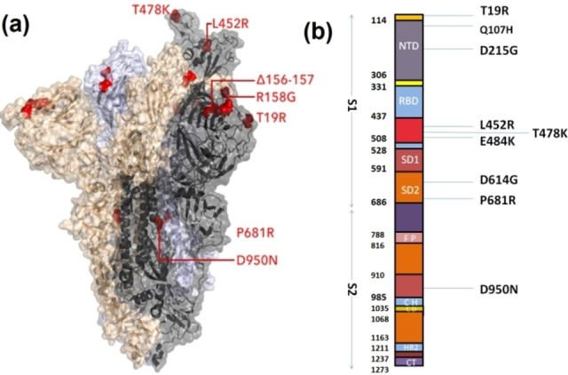 Figure 17