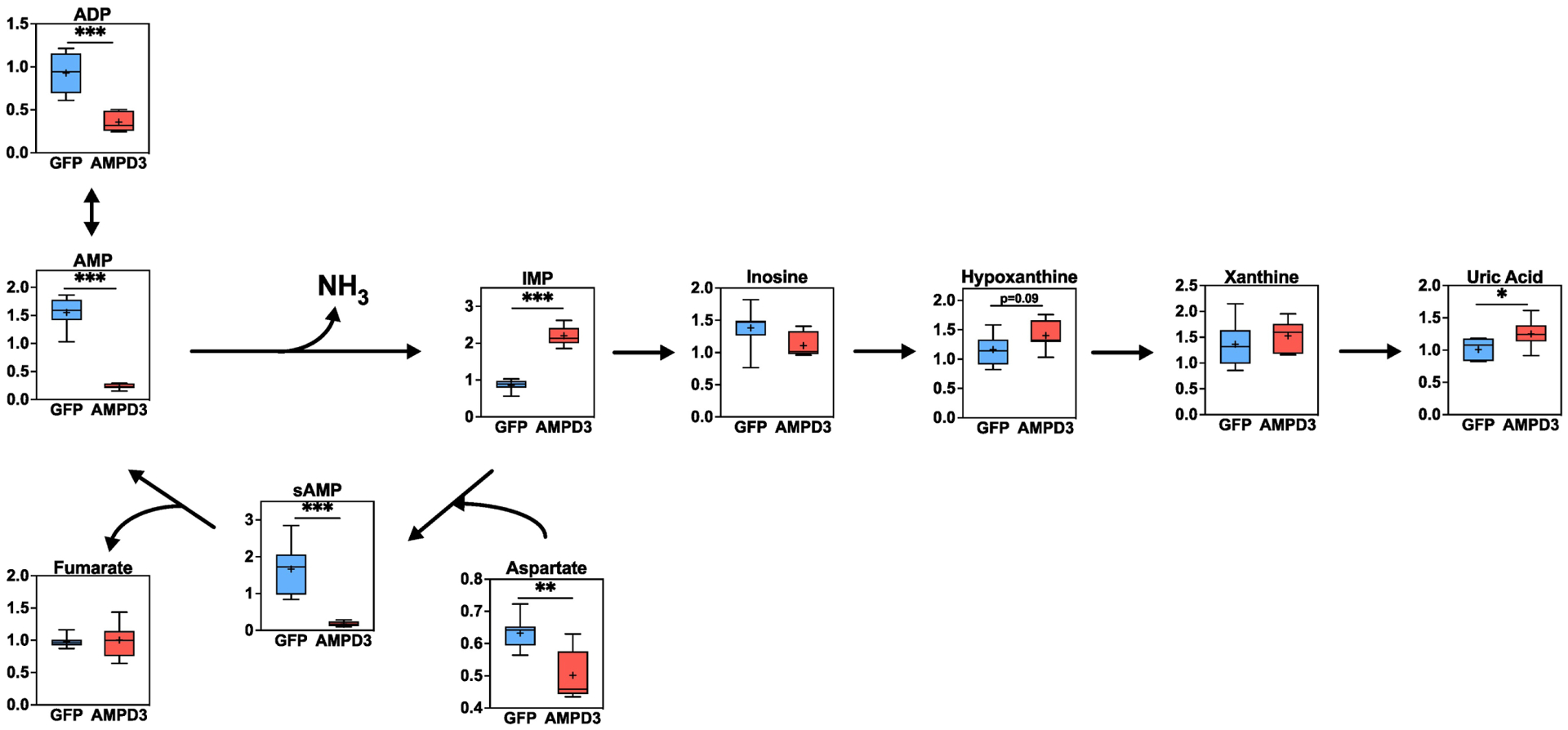 Fig. 4