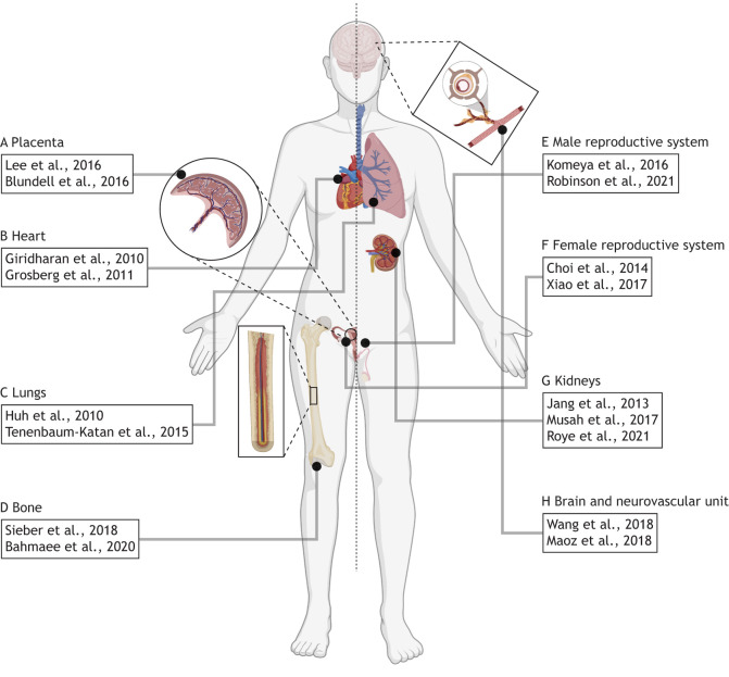 Fig. 6.