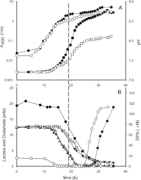 FIG. 1.