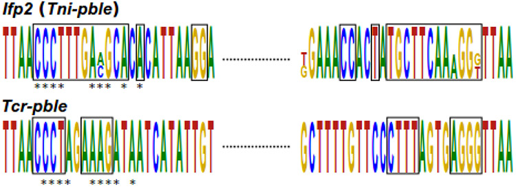 Fig. 7.