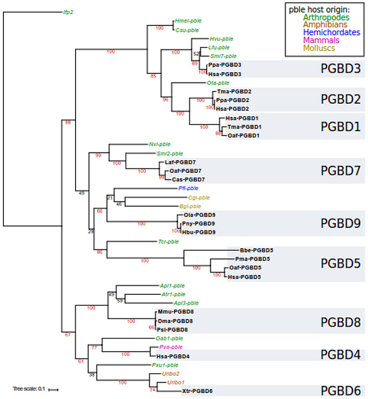 Fig. 3.