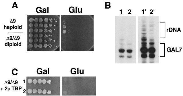 FIG. 5