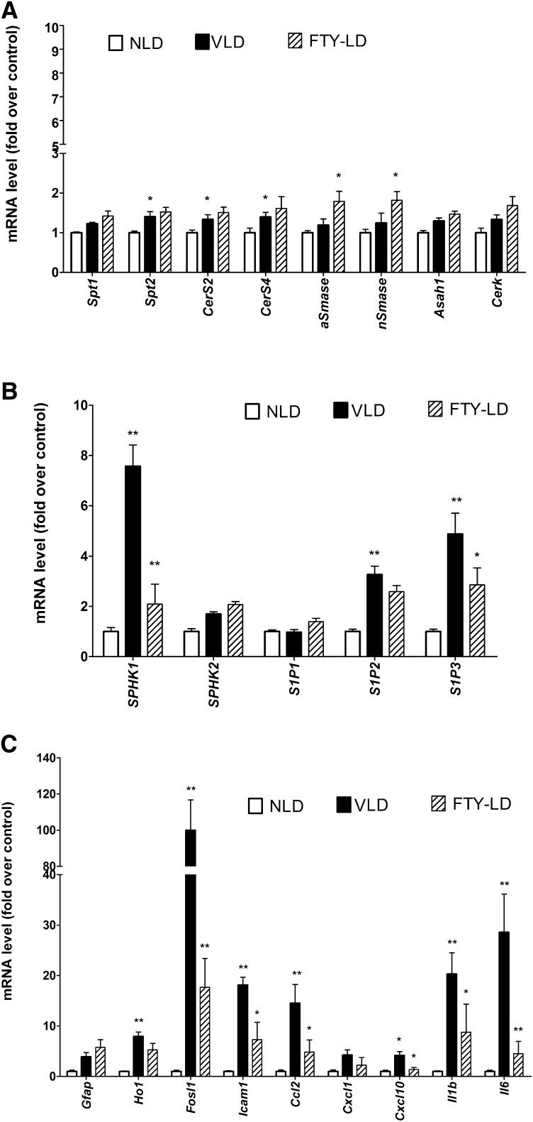 Fig. 8.