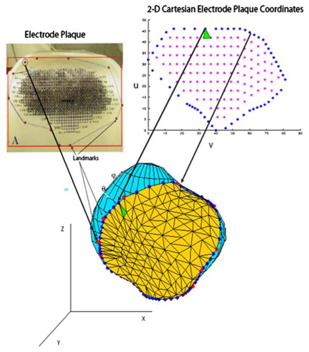 FIGURE 3