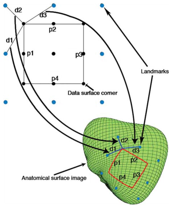 FIGURE 2