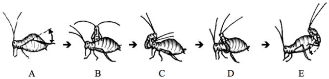 Figure 5. 