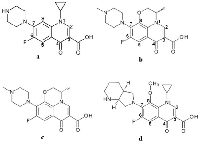 Fig 3