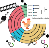 Image, graphical abstract