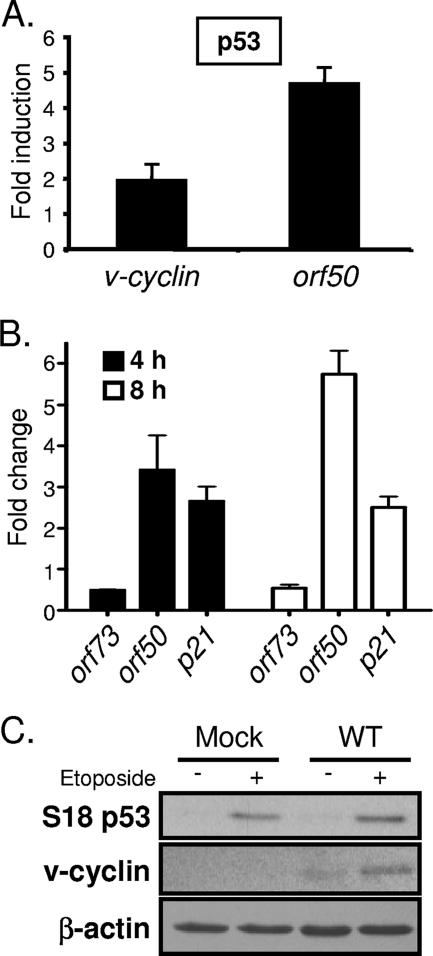 FIG. 8.