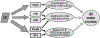 Figure 7: