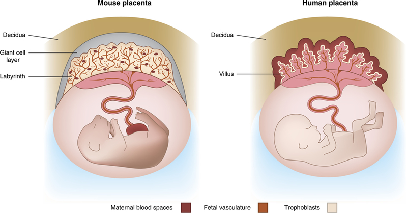 FIGURE 2 |