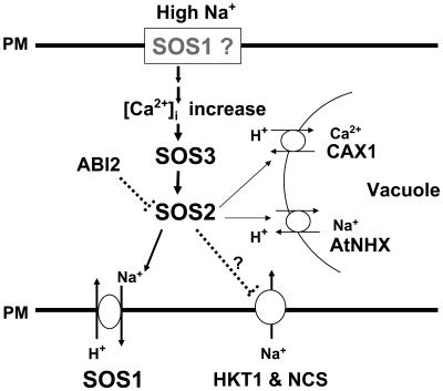 Figure 1.