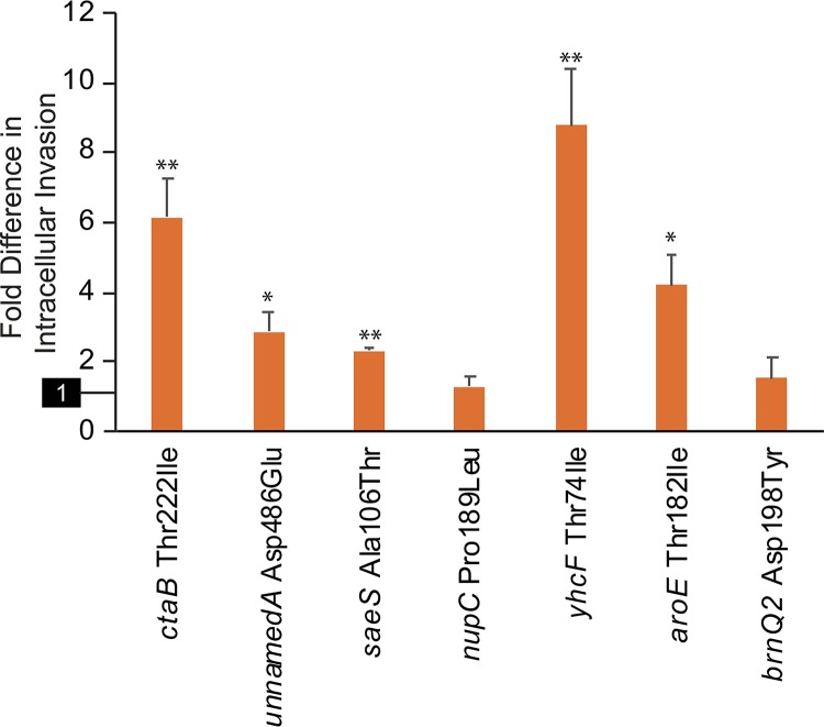 FIG 5