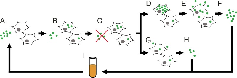 FIG 1