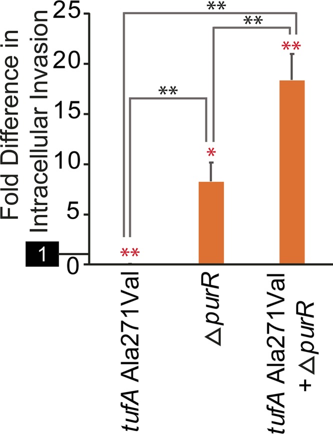 FIG 6