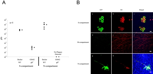 FIG. 6.