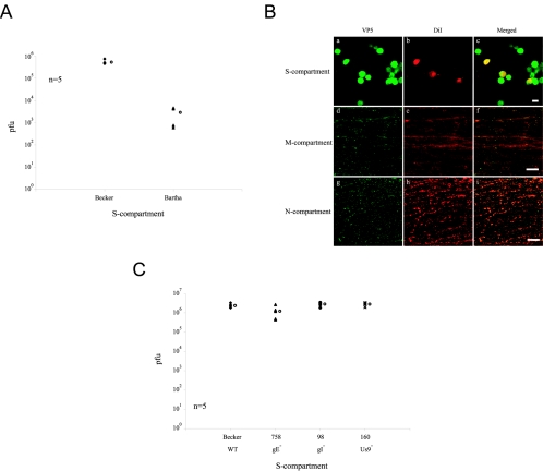 FIG. 10.