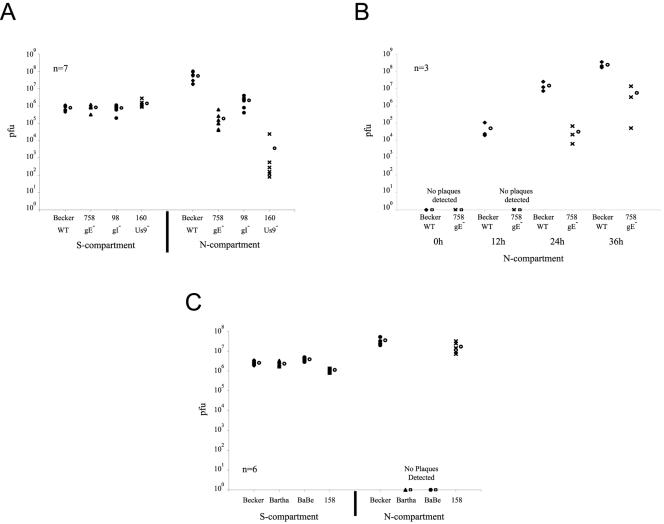 FIG. 8.