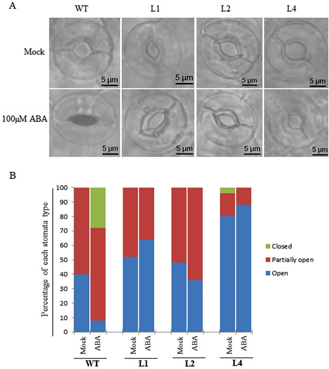 Fig 11