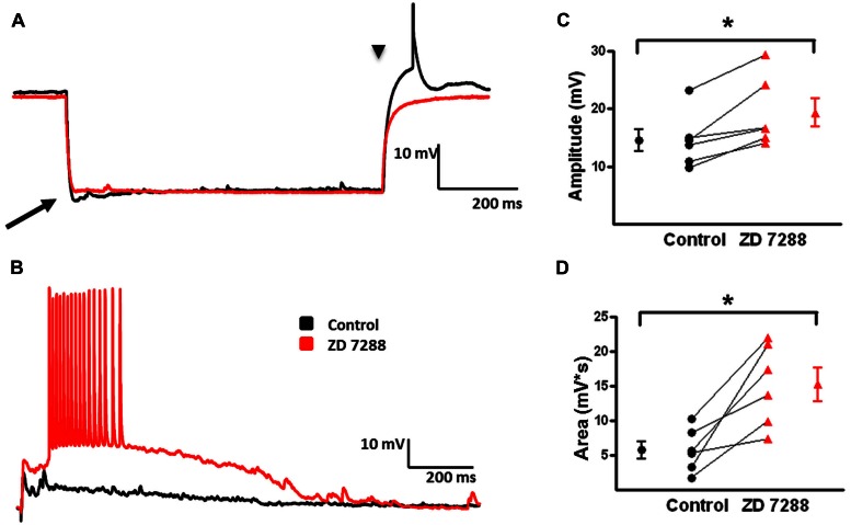 FIGURE 9