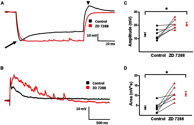 FIGURE 7