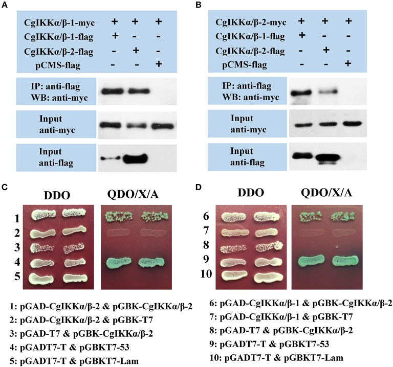 Figure 7