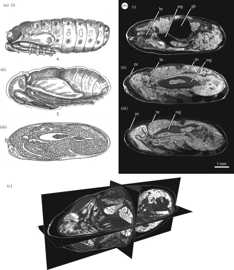 Figure 2.