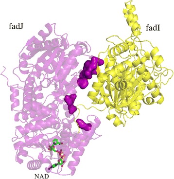 Fig. 7