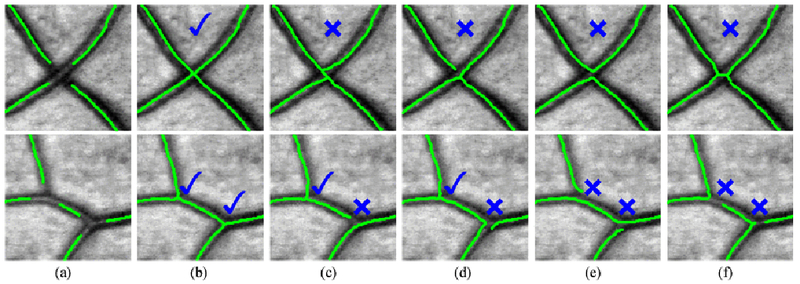 Fig. 11.