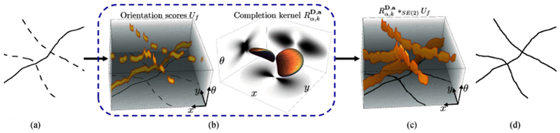 Fig. 8.