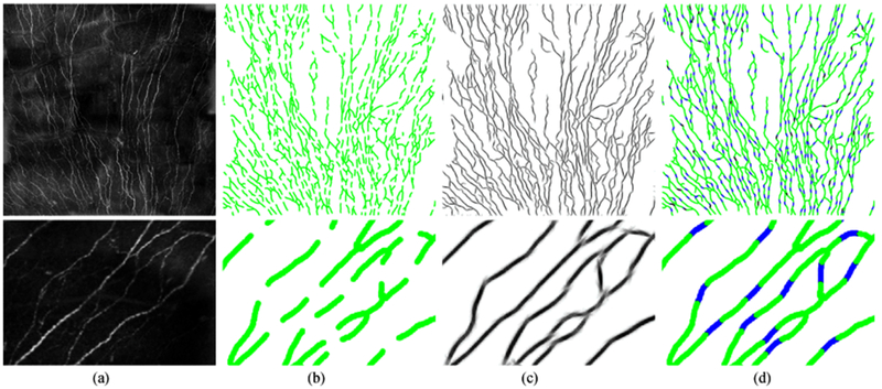 Fig. 13.