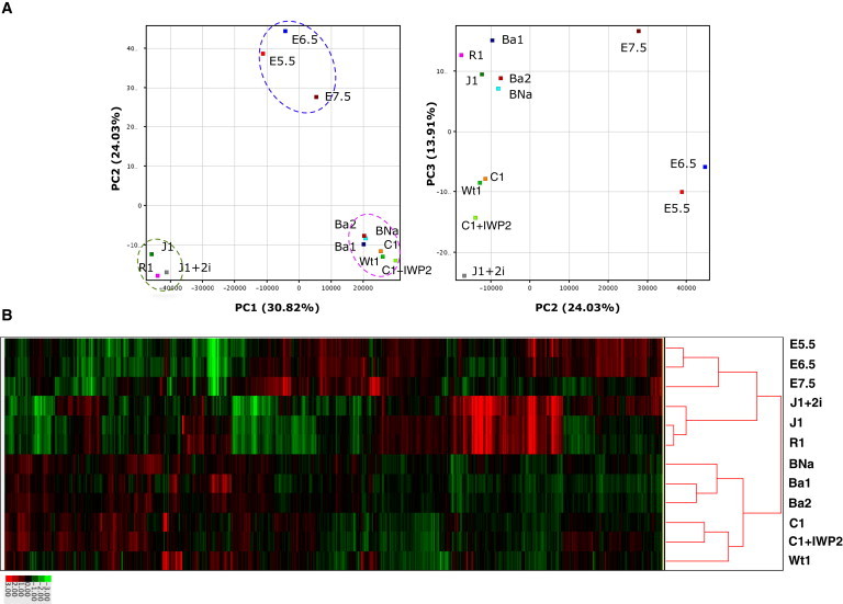 Figure 4