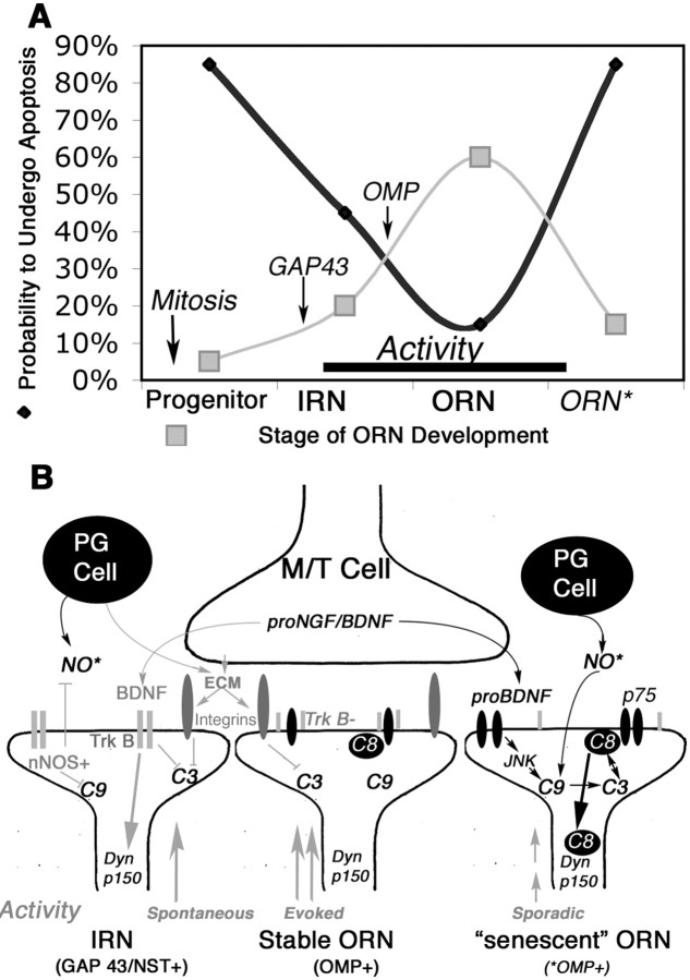 
Figure 9.
