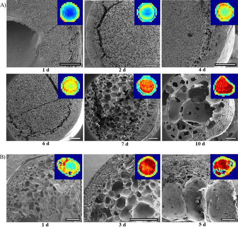 Figure 6: