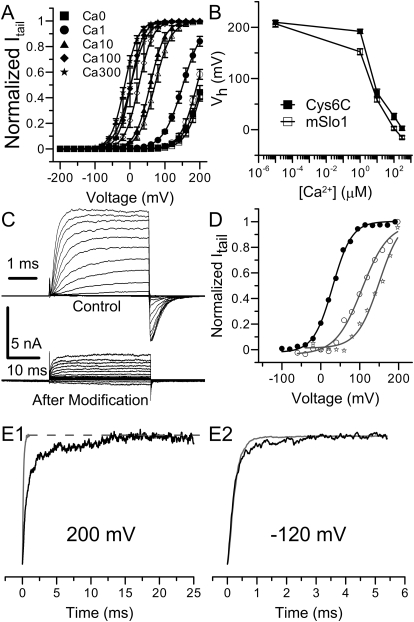 Fig. 8.