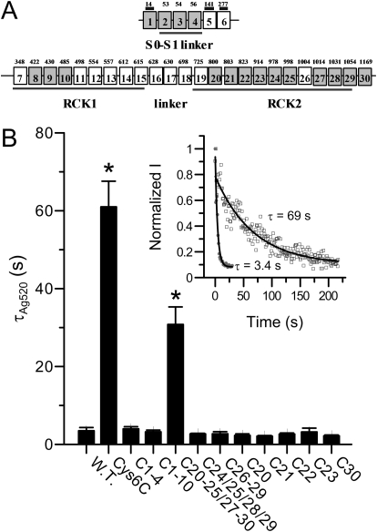 Fig. 7.