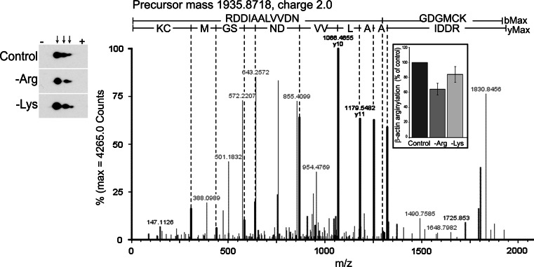 Fig. 6