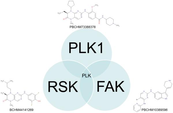 Fig. 8