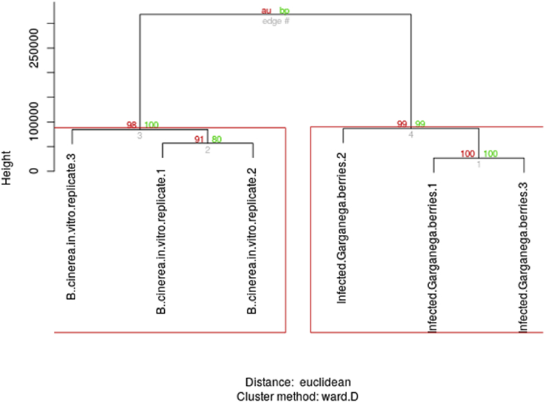 Fig. 2