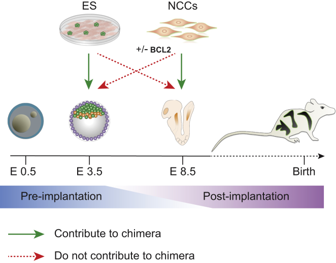 Figure 3