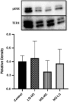 <b>FIG. 6.</b>