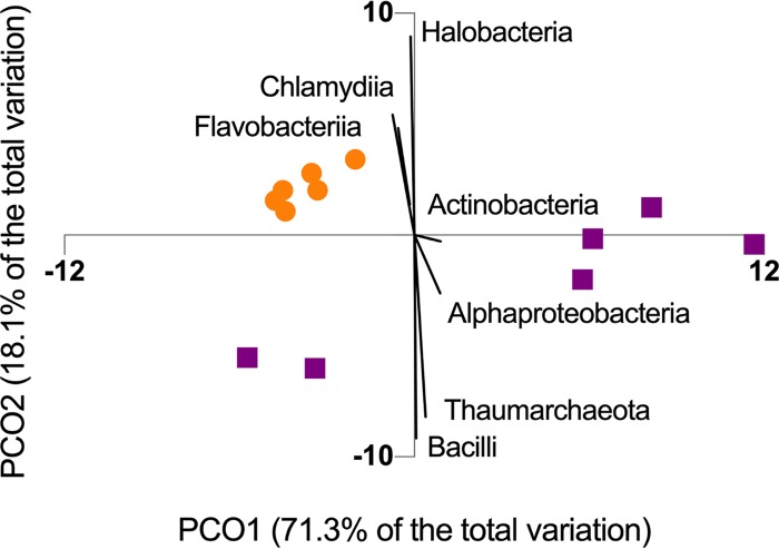 FIG 3