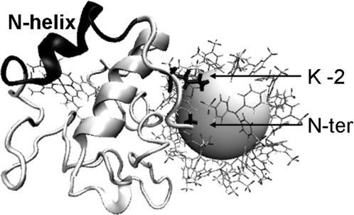 Fig. 5.