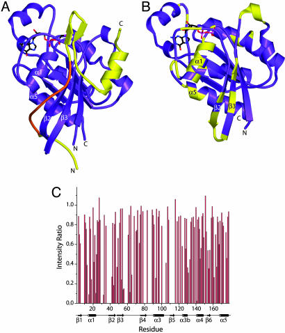 Fig. 8.