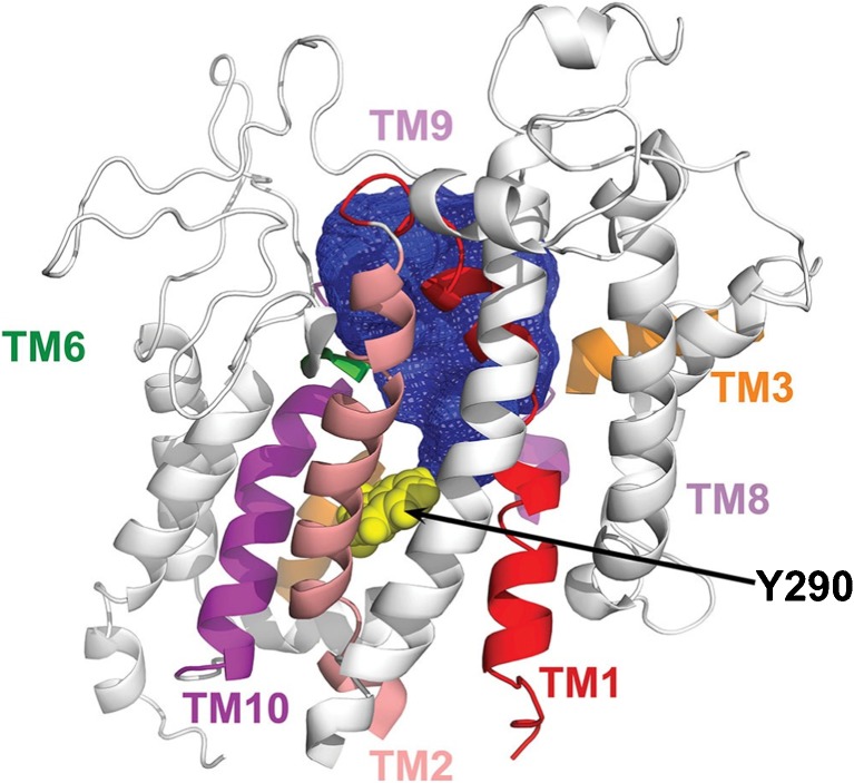 Fig. 8